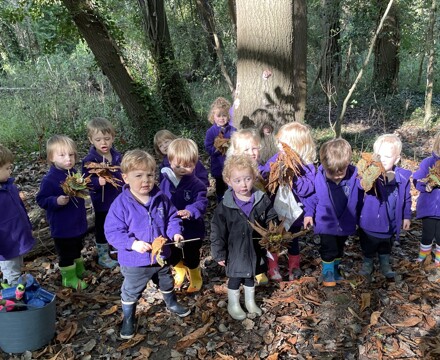 S forest school